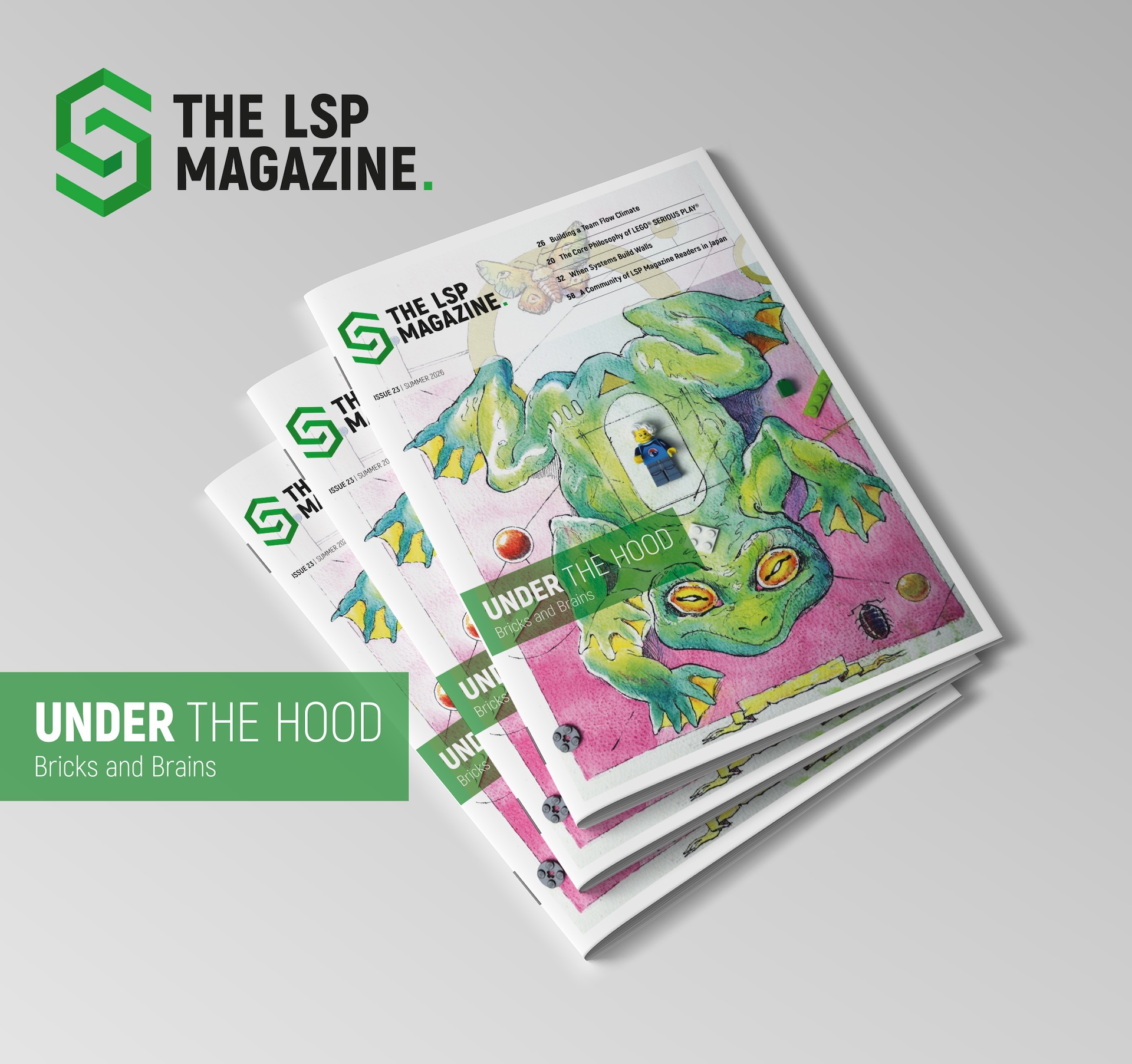 lsp magazines